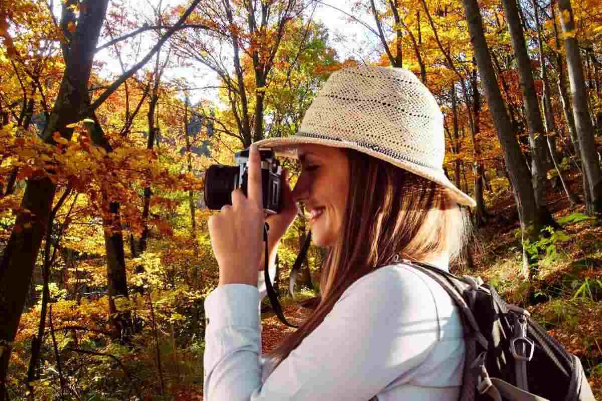 Viaggiatrice e foliage