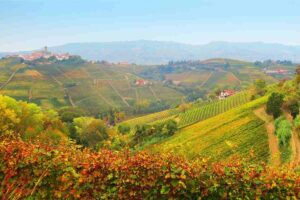 un panorama sulle langhe