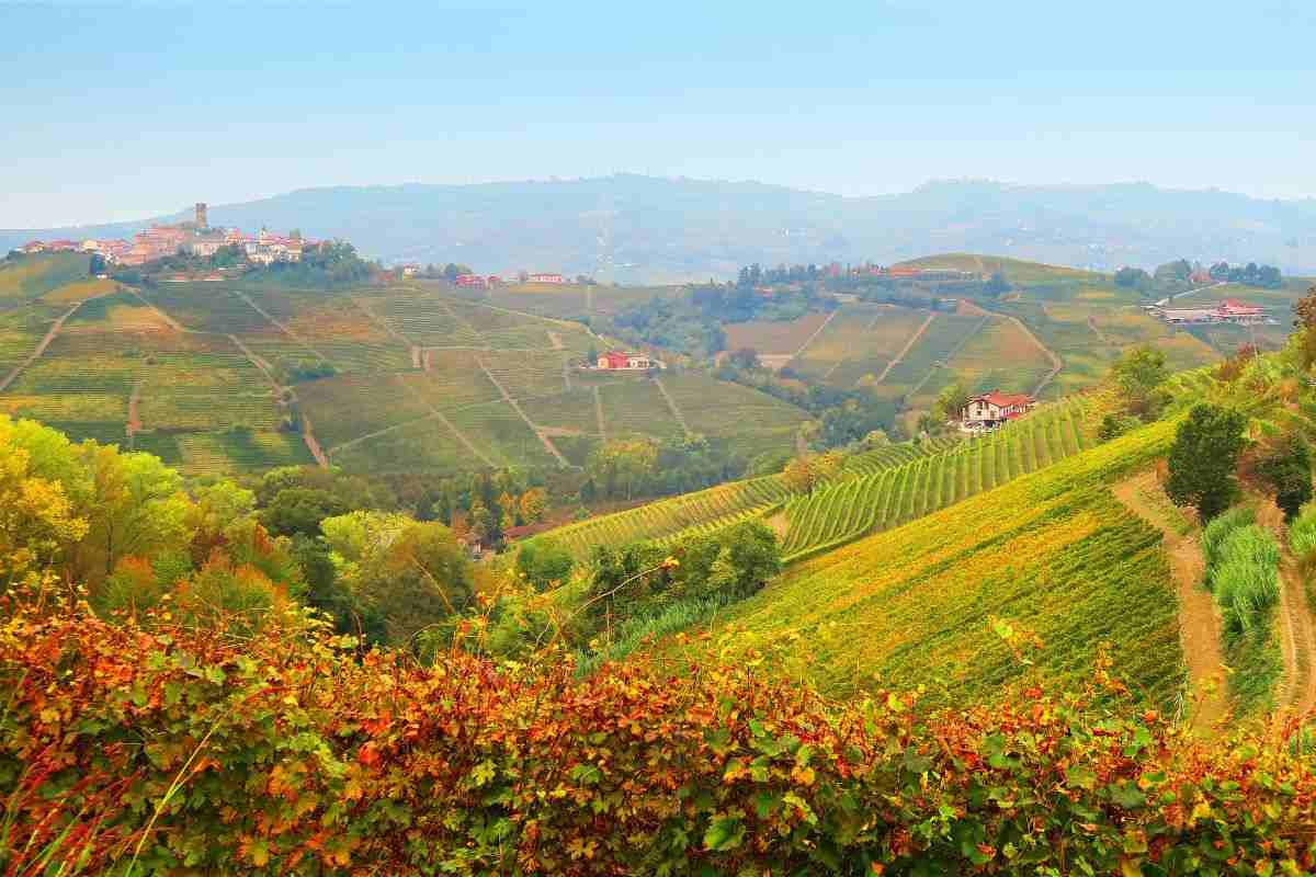 jene-stephaniuk-lkmGeyLItrw-unsplash-ls un panorama sulle langhe