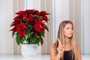 stella di natale e una ragazza che fa no con il dito