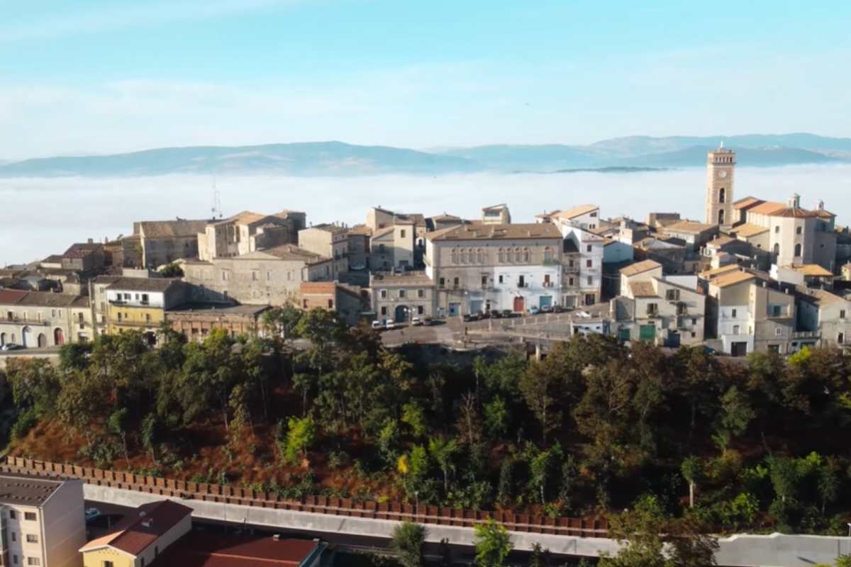 jene-stephaniuk-lkmGeyLItrw-unsplash-ls forenza panorama