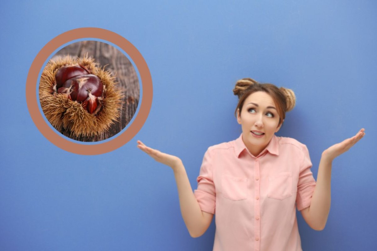 jene-stephaniuk-lkmGeyLItrw-unsplash-ls donna con espressione perplessa che spalanca le braccia e nel riquadro una castagna