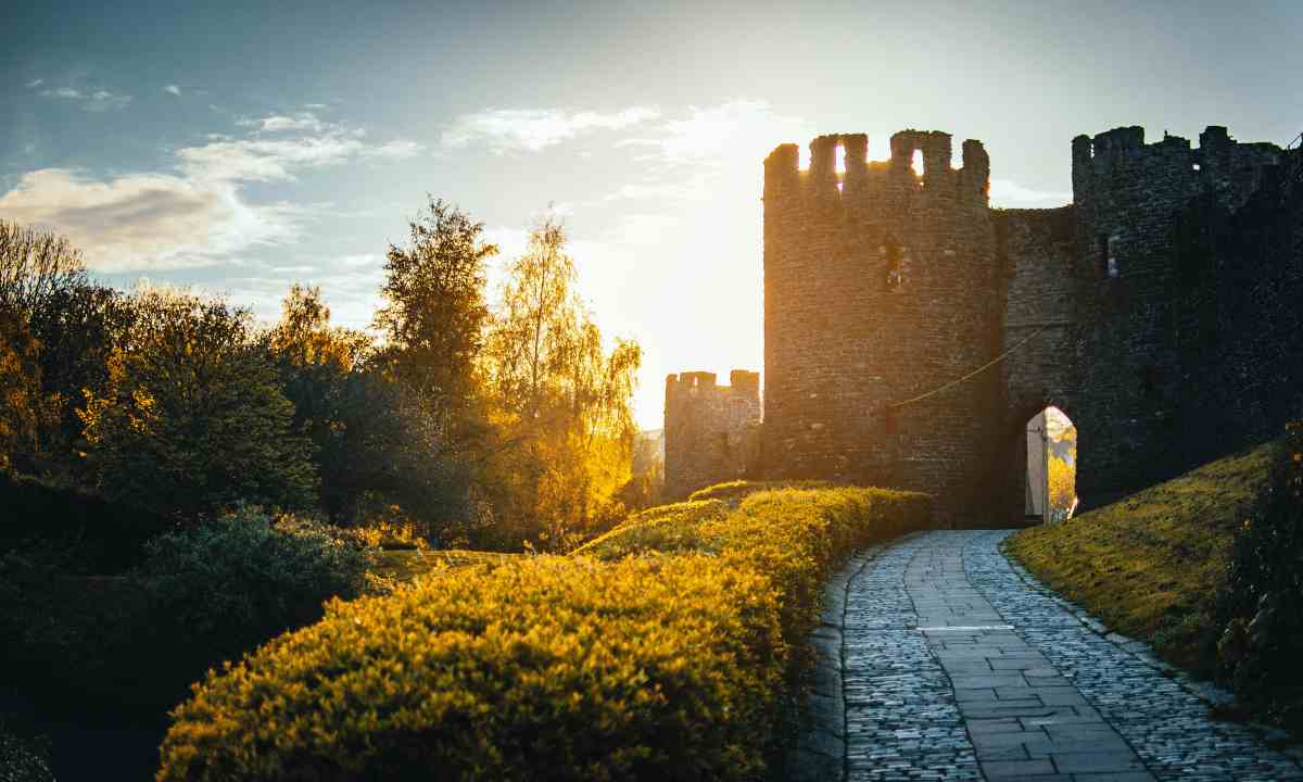 Torre contro sole in un giardino curato