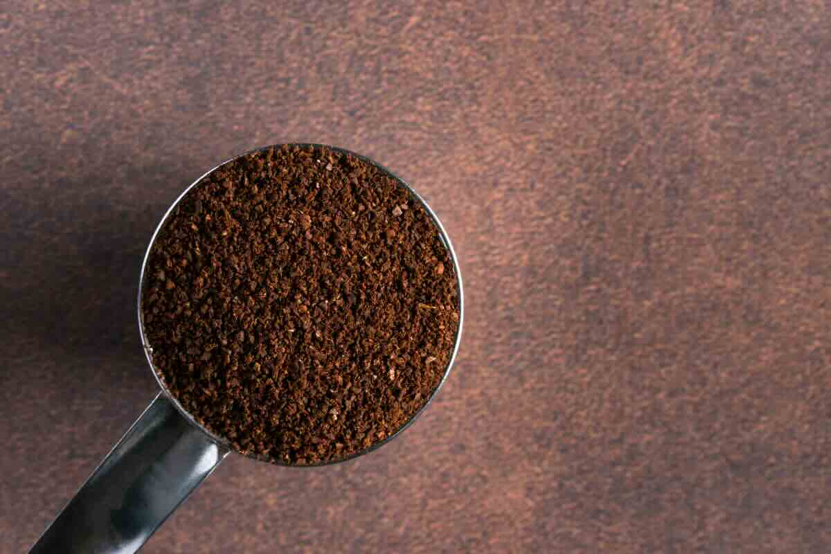 fondi del caffè