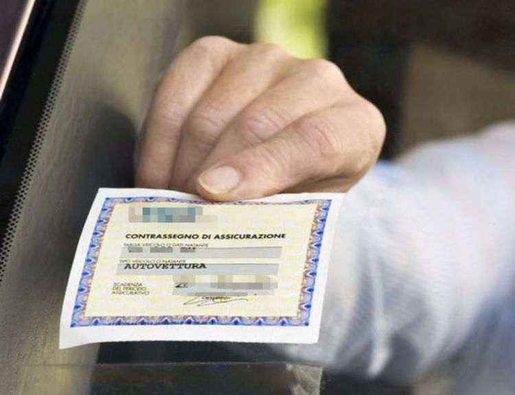 Alla scoperta delle RC Auto