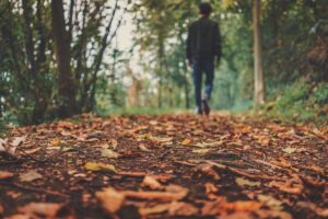 uomo cammina bosco autunno foglie