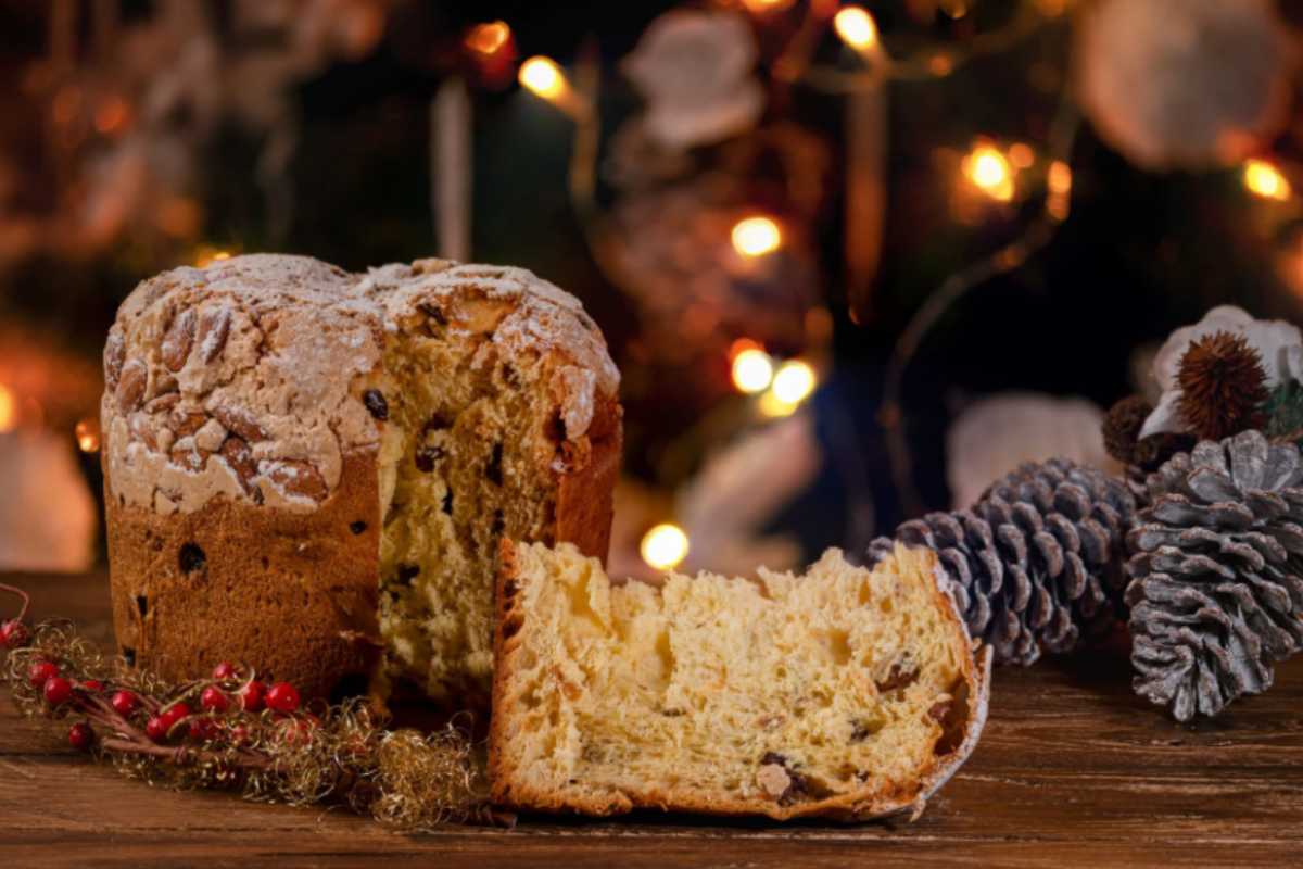 panettone natalizio con accanto delle pigne