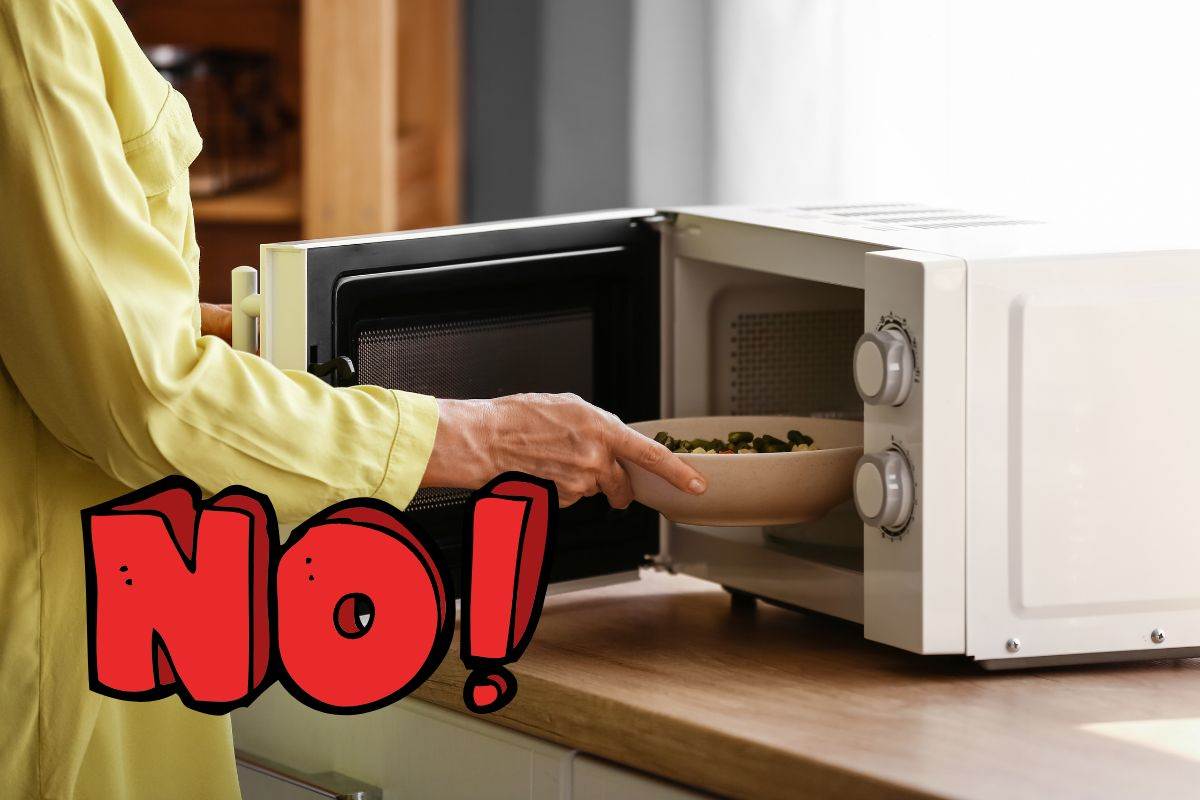 forno a microonde e la scritta NO